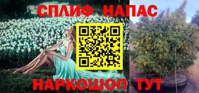 гидра Обнинск