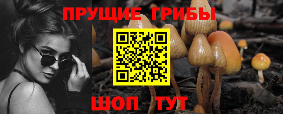 Псилоцибиновые грибы Psilocybe  Вход с VPN  Галлюциногенные грибы прущие грибы  Стрежевой 